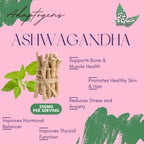 All Day Whey Protein